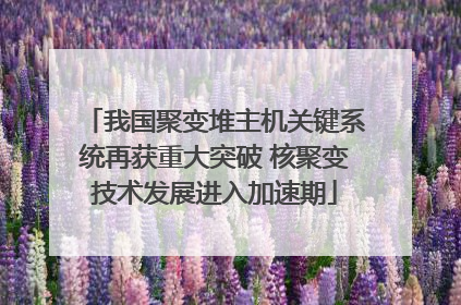 我国聚变堆主机关键系统再获重大突破 核聚变技术发展进入加速期