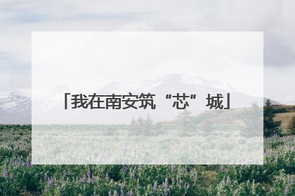 我在南安筑“芯”城