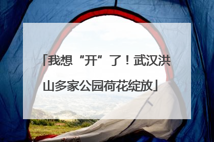 我想“开”了！武汉洪山多家公园荷花绽放