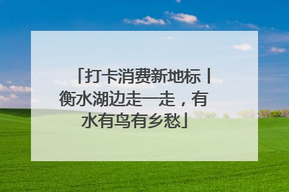 打卡消费新地标丨衡水湖边走一走，有水有鸟有乡愁