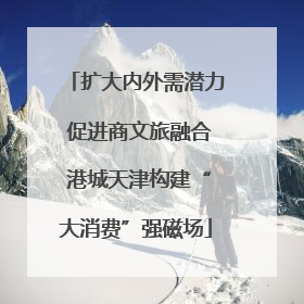 扩大内外需潜力 促进商文旅融合 港城天津构建“大消费”强磁场