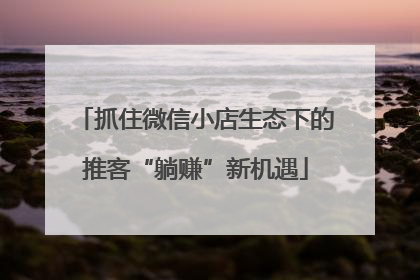 抓住微信小店生态下的推客“躺赚”新机遇