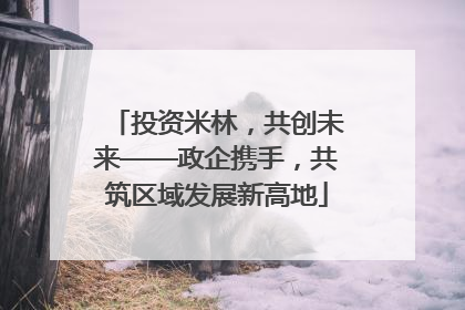投资米林，共创未来——政企携手，共筑区域发展新高地
