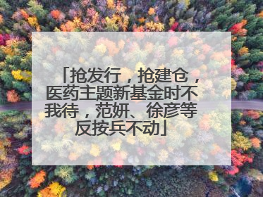 抢发行，抢建仓，医药主题新基金时不我待，范妍、徐彦等反按兵不动
