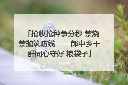 抢收抢种争分秒 禁烧禁抛筑防线——郎中乡干群同心守好 粮袋子