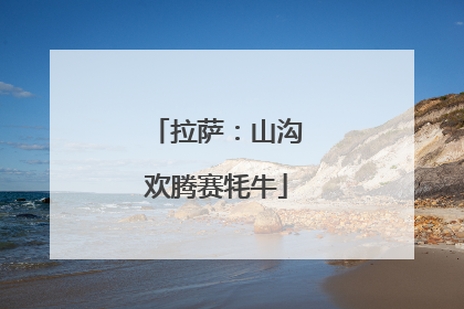 拉萨：山沟欢腾赛牦牛