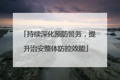 持续深化预防警务，提升治安整体防控效能