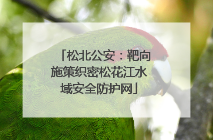 松北公安：靶向施策织密松花江水域安全防护网