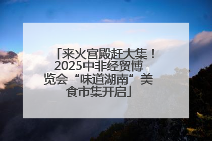 来火宫殿赶大集！2025中非经贸博览会“味道湖南”美食市集开启