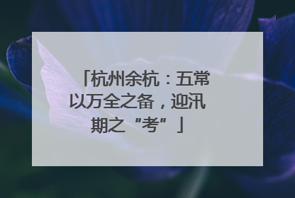 杭州余杭：五常以万全之备，迎汛期之“考”