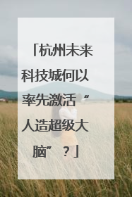 杭州未来科技城何以率先激活“人造超级大脑”？