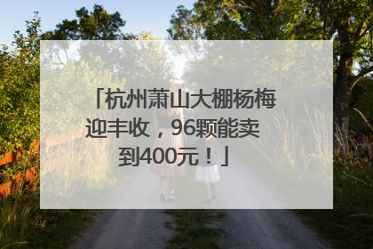 杭州萧山大棚杨梅迎丰收，96颗能卖到400元！
