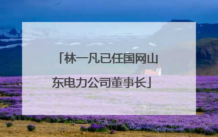 林一凡已任国网山东电力公司董事长
