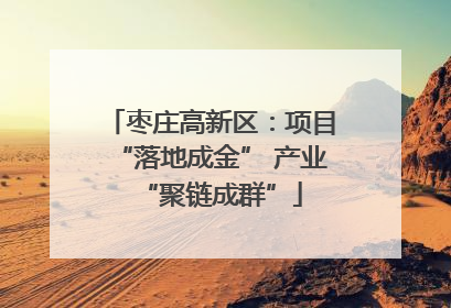 枣庄高新区：项目“落地成金” 产业“聚链成群”