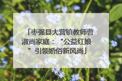枣强县大营镇教师曹淑尚家庭：“公益红娘”引领婚俗新风尚