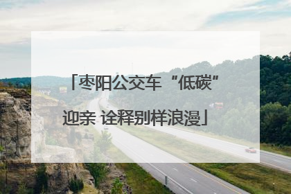 枣阳公交车“低碳”迎亲 诠释别样浪漫