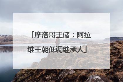 摩洛哥王储：阿拉维王朝低调继承人