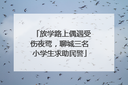 放学路上偶遇受伤夜鹭，聊城三名小学生求助民警