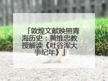 敦煌文献映照青海历史：黄维忠教授解读《吐谷浑大事纪年》