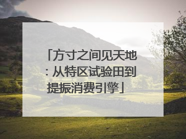 方寸之间见天地：从特区试验田到提振消费引擎