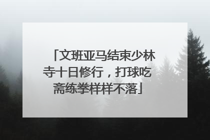 文班亚马结束少林寺十日修行，打球吃斋练拳样样不落