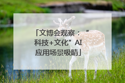文博会观察：“科技+文化”AI应用场景吸睛