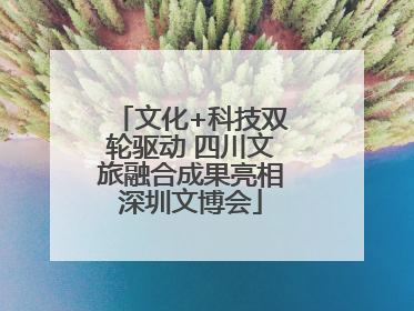 文化+科技双轮驱动 四川文旅融合成果亮相深圳文博会