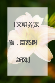 文明养宠物，蔚然树新风