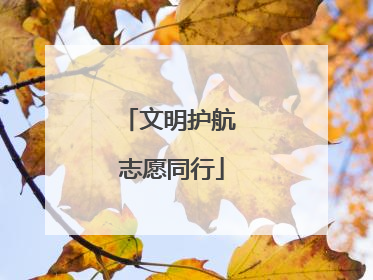文明护航 志愿同行