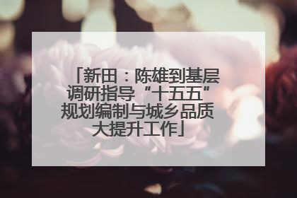 新田：陈雄到基层调研指导“十五五”规划编制与城乡品质大提升工作