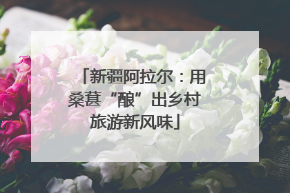 新疆阿拉尔：用桑葚“酿”出乡村旅游新风味