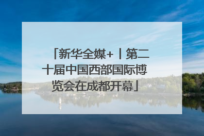 新华全媒+丨第二十届中国西部国际博览会在成都开幕