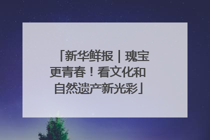 新华鲜报｜瑰宝更青春！看文化和自然遗产新光彩
