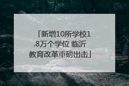 新增10所学校1.8万个学位 临沂教育改革重磅出击