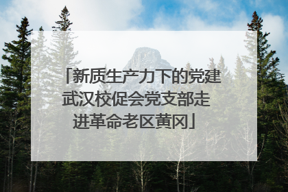新质生产力下的党建 武汉校促会党支部走进革命老区黄冈
