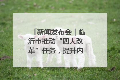 新闻发布会｜临沂市推动“四大改革”任务，提升内部审计监督效能
