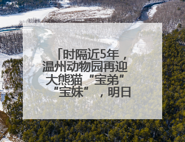 时隔近5年，温州动物园再迎大熊猫“宝弟”“宝妹”，明日正式开馆！