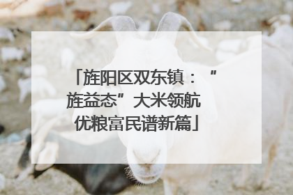 旌阳区双东镇：“旌益态”大米领航 优粮富民谱新篇