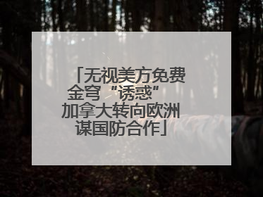 无视美方免费金穹“诱惑” 加拿大转向欧洲谋国防合作