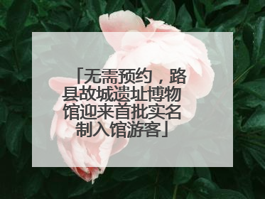 无需预约，路县故城遗址博物馆迎来首批实名制入馆游客