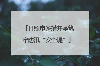 日照市多措并举筑牢防汛“安全堤”