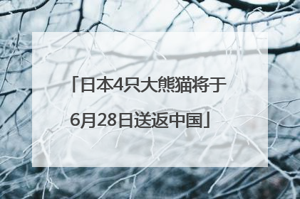 日本4只大熊猫将于6月28日送返中国