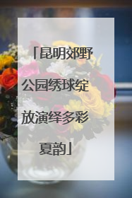 昆明郊野公园绣球绽放演绎多彩夏韵