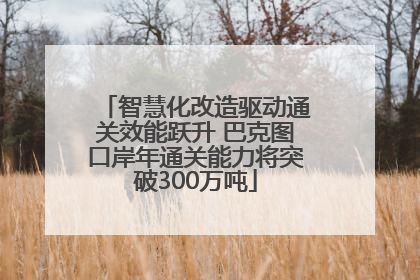 智慧化改造驱动通关效能跃升 巴克图口岸年通关能力将突破300万吨