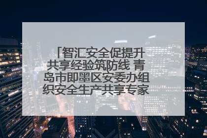 智汇安全促提升 共享经验筑防线 青岛市即墨区安委办组织安全生产共享专家现场观摩学习活动