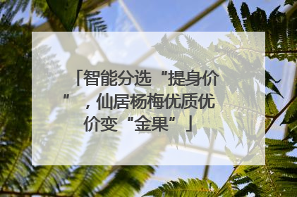 智能分选“提身价”，仙居杨梅优质优价变“金果”