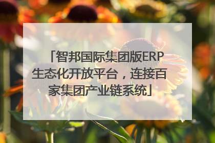 智邦国际集团版ERP生态化开放平台，连接百家集团产业链系统