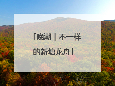 晚潮｜不一样的新塘龙舟