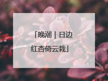晚潮｜日边红杏倚云栽