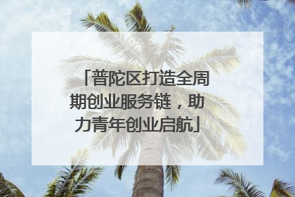普陀区打造全周期创业服务链，助力青年创业启航